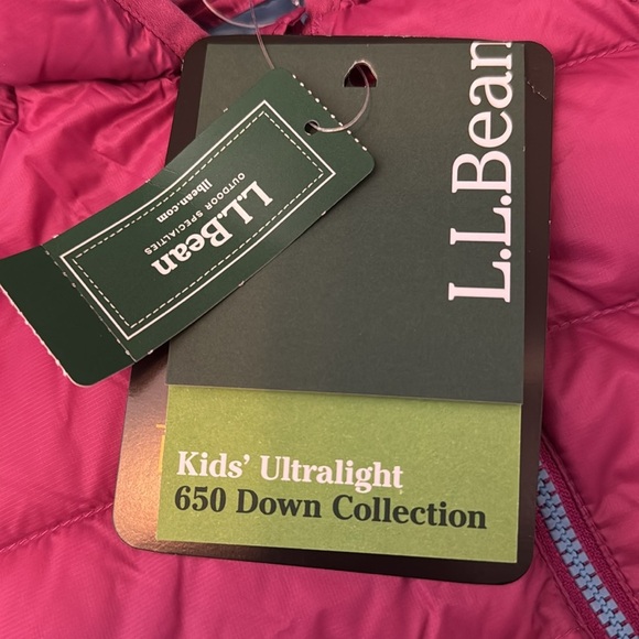 NWT LL Bean Infants' Ultralight 650 Down Bunting in Pink - Picture 5 of 8